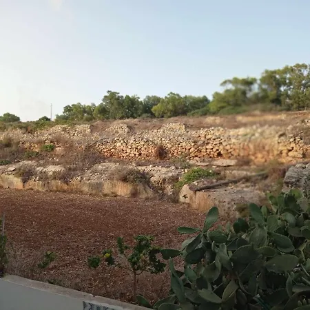 Gazde/Camere de închiriat Poppy Court Iz-Zlielaq